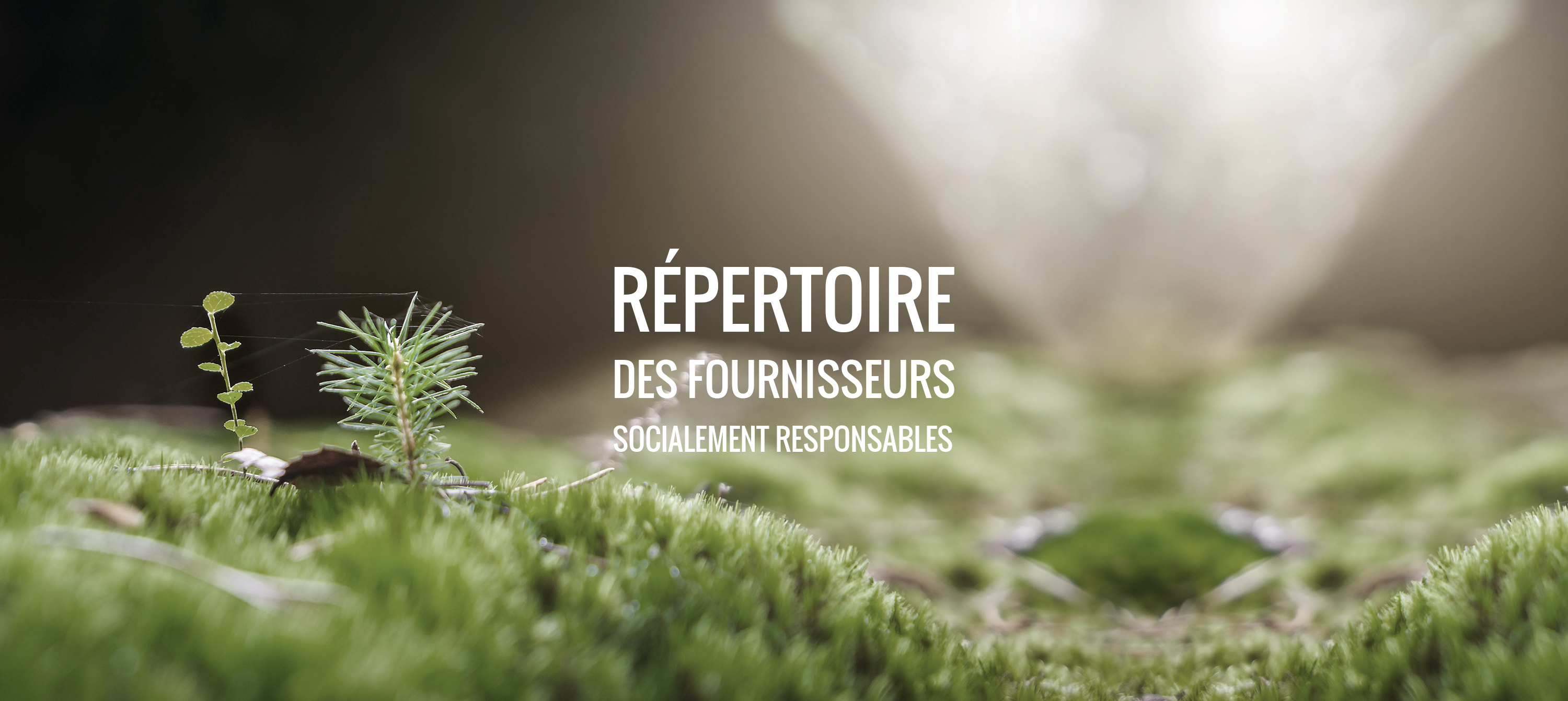 Répertoire Villeurbanne